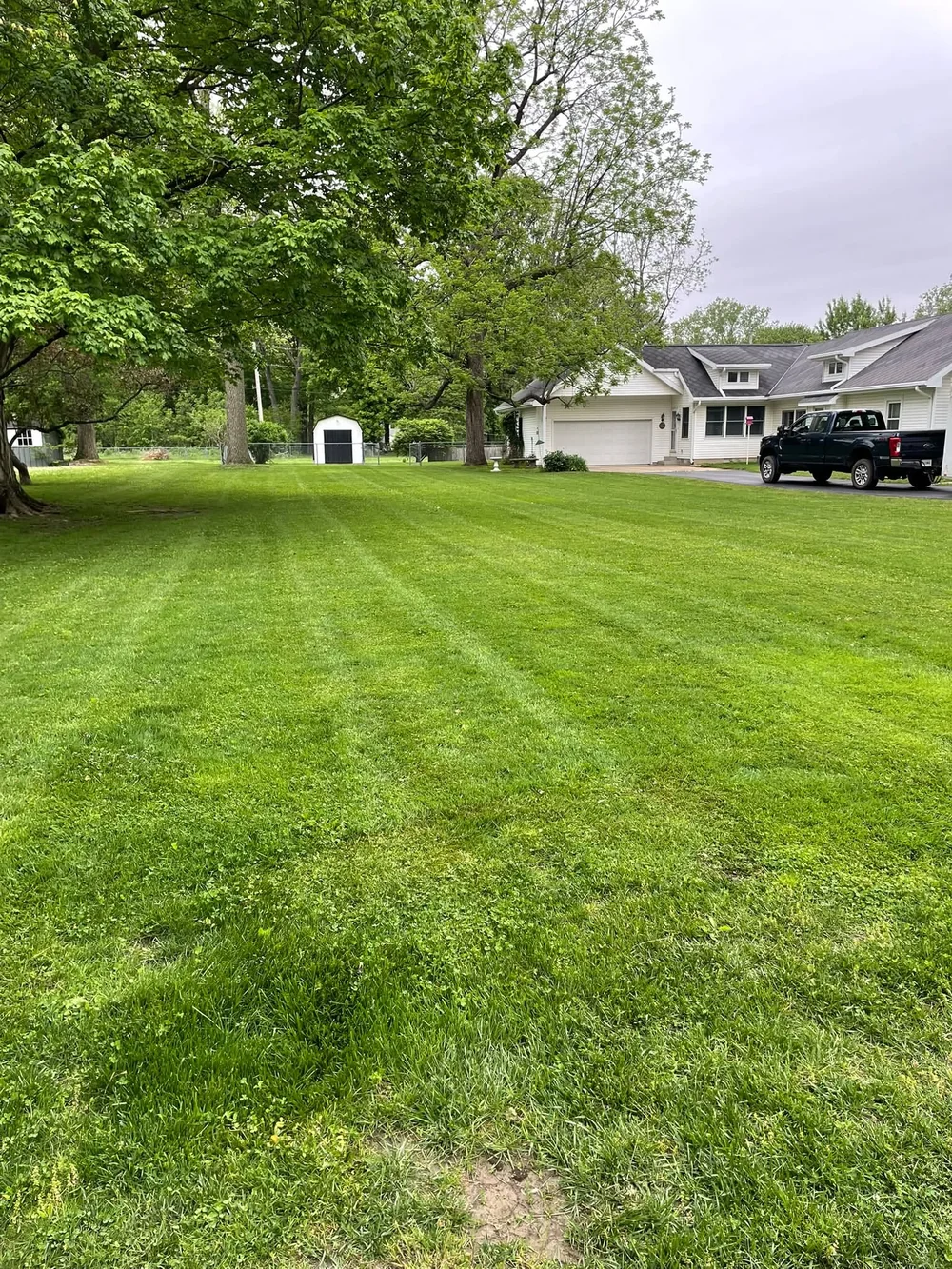 A maintained lawn and mature trees in Nevan’s supplied project photography